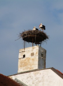 Rust: Storks