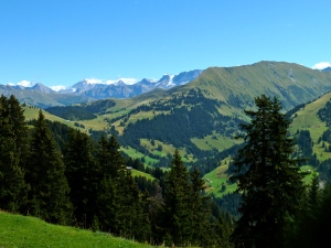 Gstaad: Hiking above Gstaad