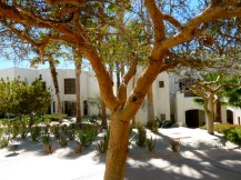 Las Ventanas al Paraiso: Cabo, Mexico